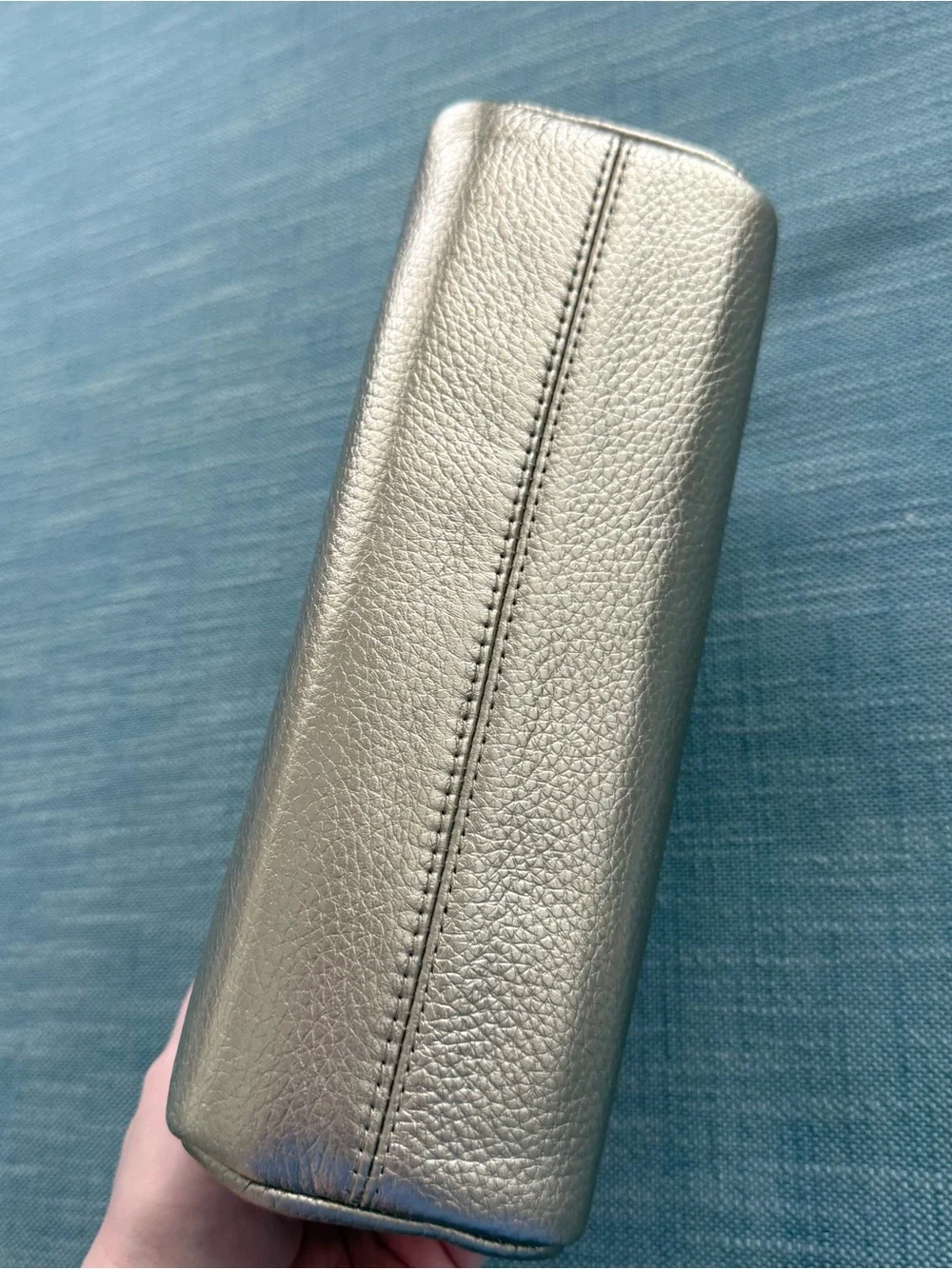 Cuyana Shimmer Metallic Pebbled Leather Tech Organizer Case Bag Monogram LMK